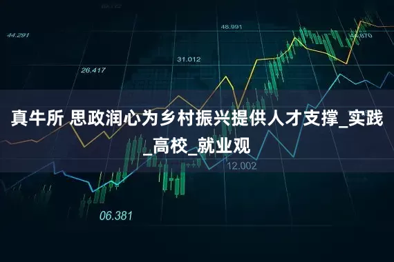 真牛所 思政润心为乡村振兴提供人才支撑_实践_高校_就业观