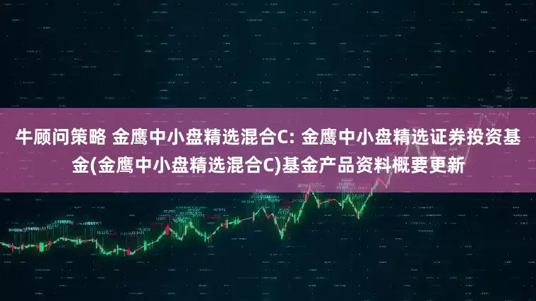 牛顾问策略 金鹰中小盘精选混合C: 金鹰中小盘精选证券投资基金(金鹰中小盘精选混合C)基金产品资料概要更新