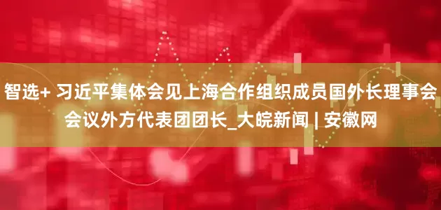 智选+ 习近平集体会见上海合作组织成员国外长理事会会议外方代表团团长_大皖新闻 | 安徽网