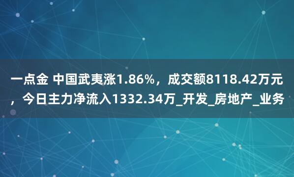 一点金 中国武夷涨1.86%，成交额8118.42万元，今日主力净流入1332.34万_开发_房地产_业务